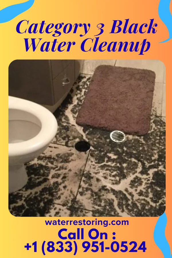 Category 3 Black Water Cleanup in Fairfield, OH