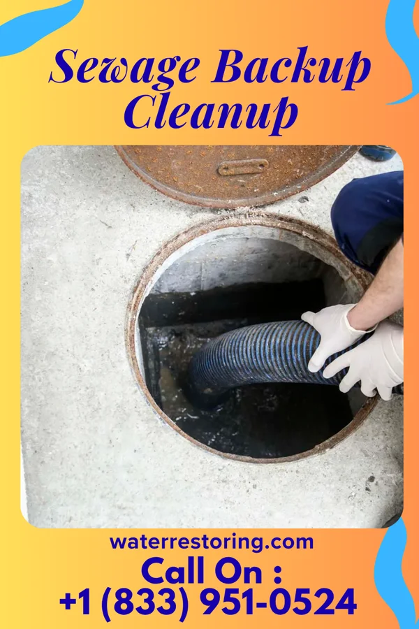 Sewage Backup Cleanup in Fairfield, OH